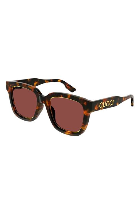 gucci 52mm round sunglasses|gucci havana sunglasses men's.